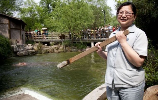 Как чистят зубы бегемоту в шанхайском зоопарке