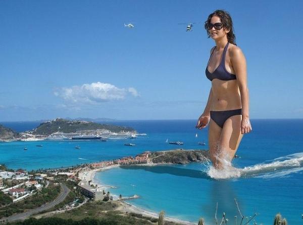 ������ ����