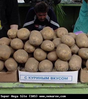 Фоты из жизни