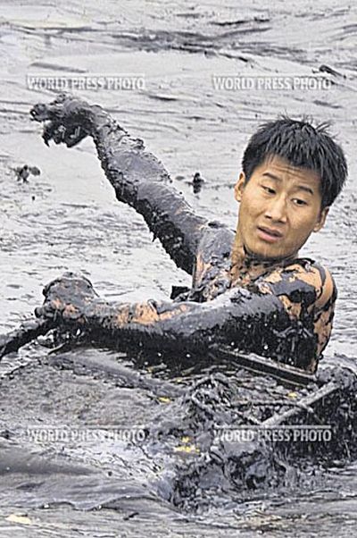 ����� ������������ ���������� ���� 2010 ����