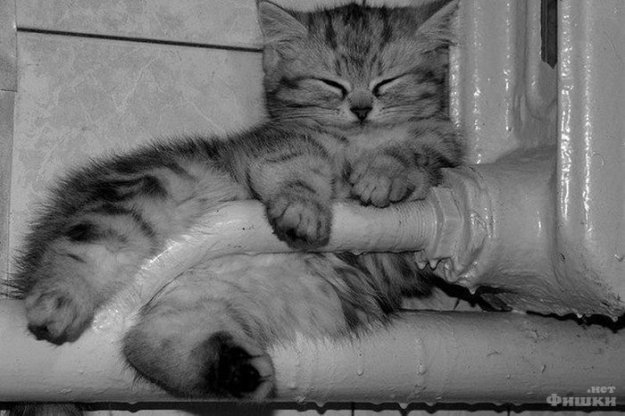 ������, ��� ������ ����������. ����� 19