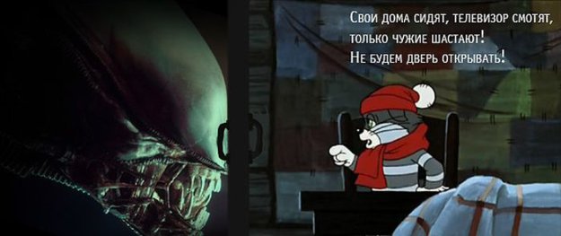 Размещенное изображение