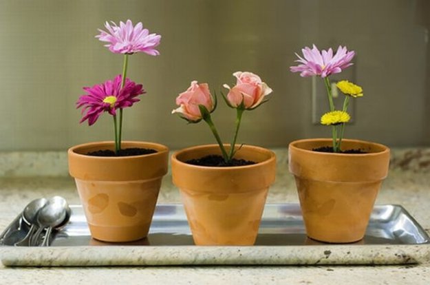 ������ � ��������� ��������