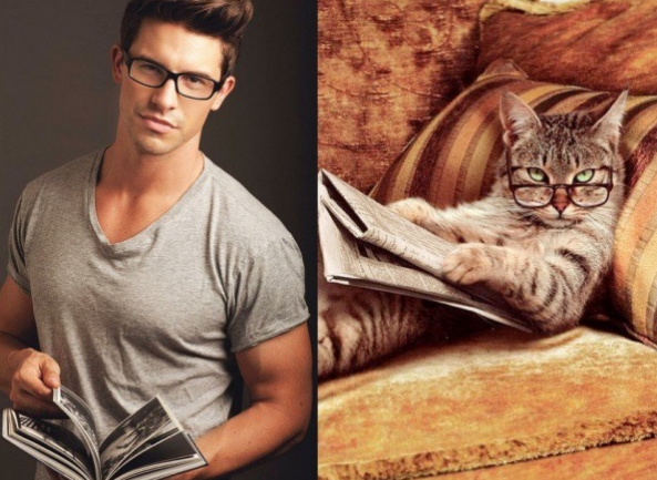 Кто красивее: котята или мужчины?