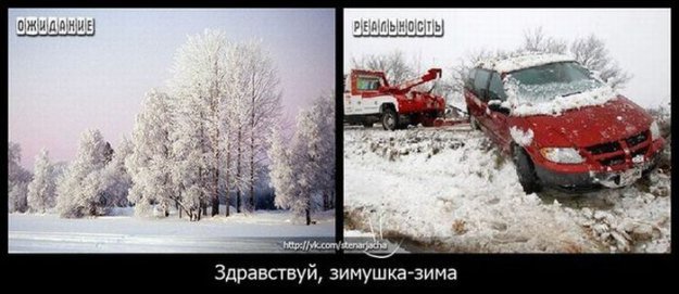 Размещенное изображение