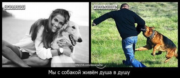 Размещенное изображение