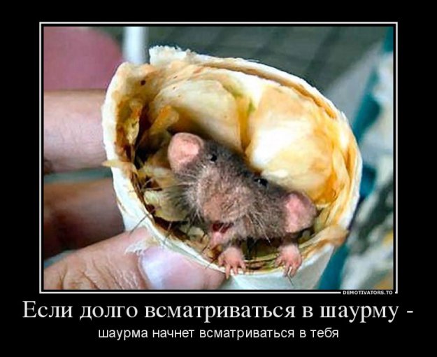 Размещенное изображение