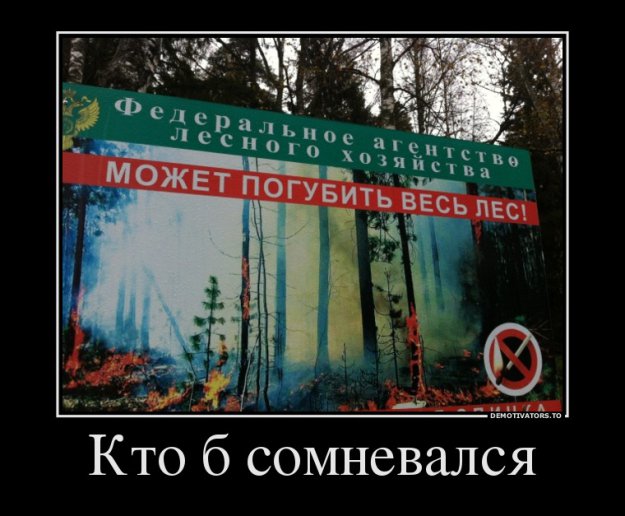Размещенное изображение