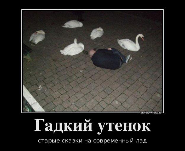Размещенное изображение