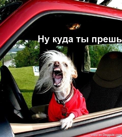 Размещенное изображение