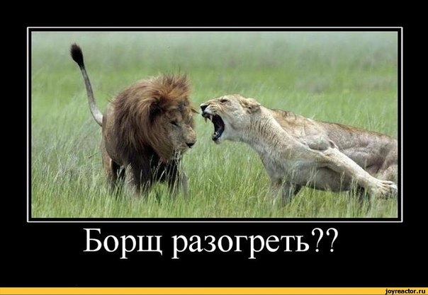 Размещенное изображение
