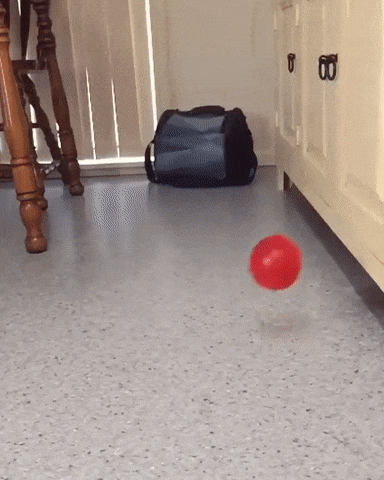 �������� �����