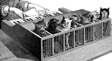 Кошачье пианино
