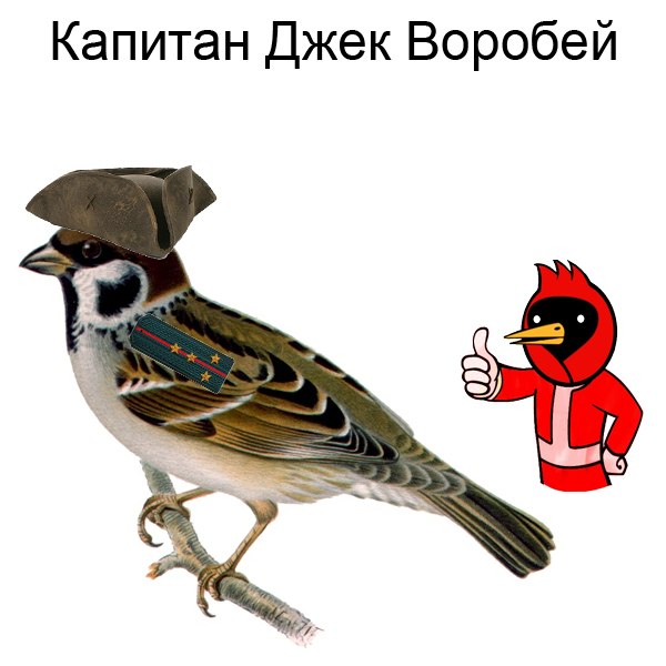 Размещенное изображение
