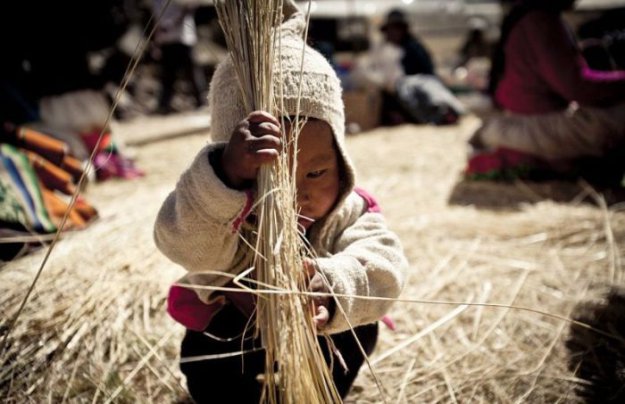 ��������� ���������� ��������� ����, ��������� �������