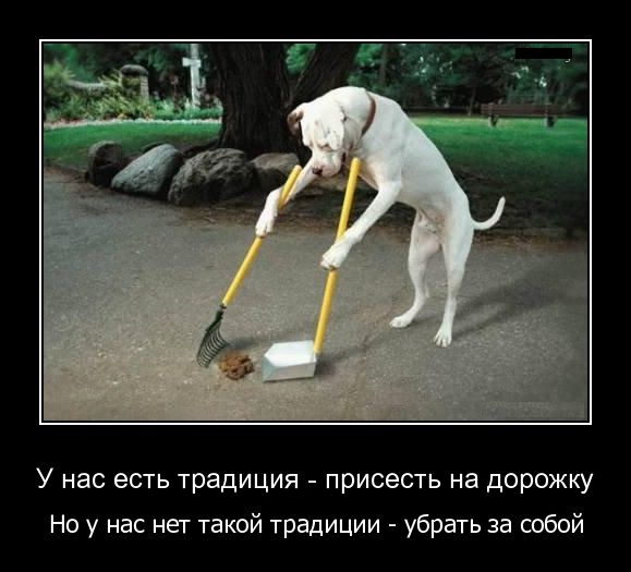 Демотиваторы