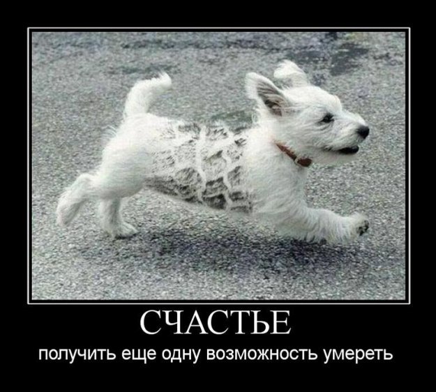 Демотиваторы