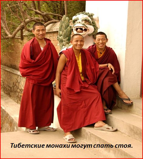 это интересно