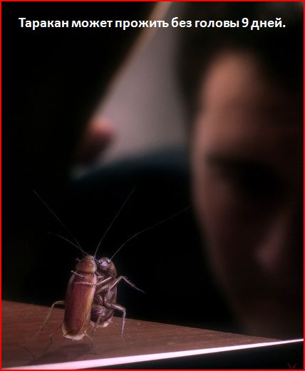 это интересно