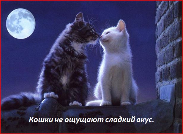 это интересно