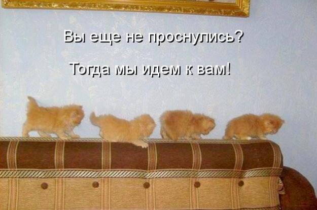Приколы пожелания для конкурса Приколы пожелания для конкурса