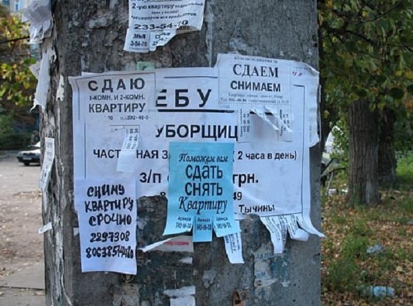 Размещенное изображение