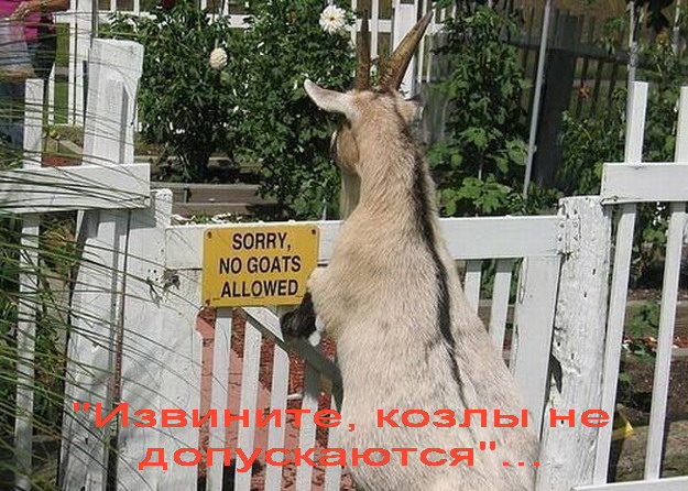 No comment... 463.