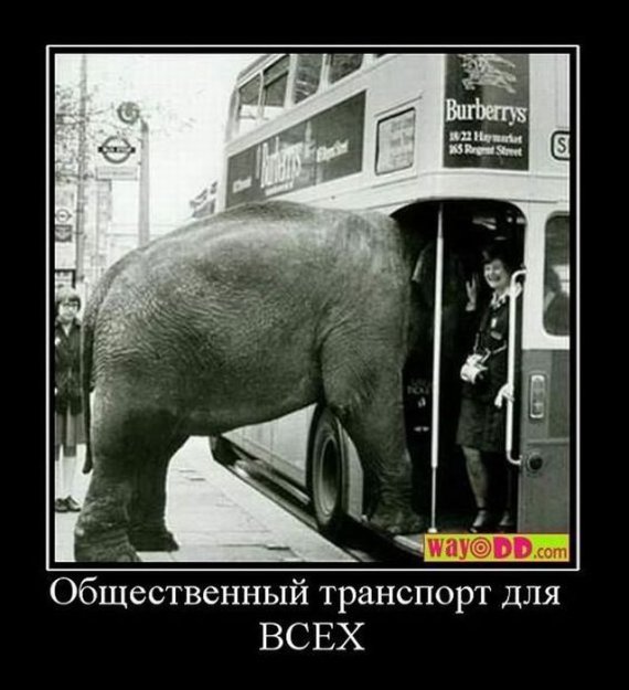 Демотивируем