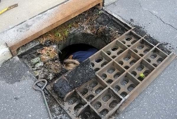 ��������� �������� �� ��������