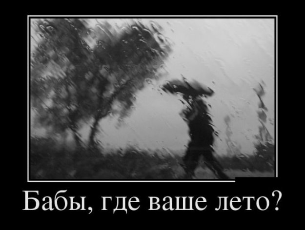 Картинка дня