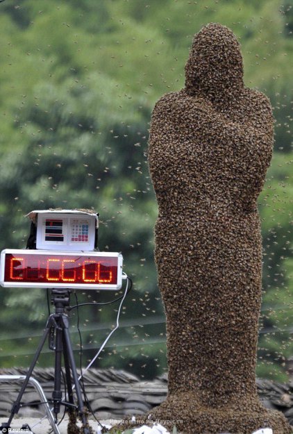 Необычное «пчелиное» состязание в Китае