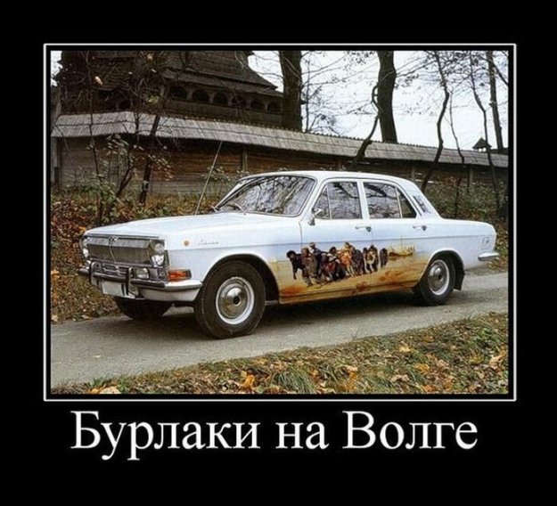 Размещенное изображение