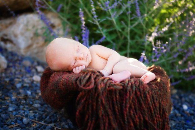 ���� - ����� �����