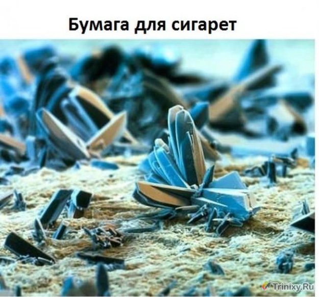 ������� ���� ��� �����������