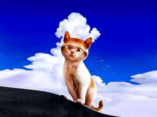 � ����� Makoto Muramatsu