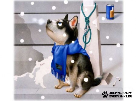 � ����� Makoto Muramatsu