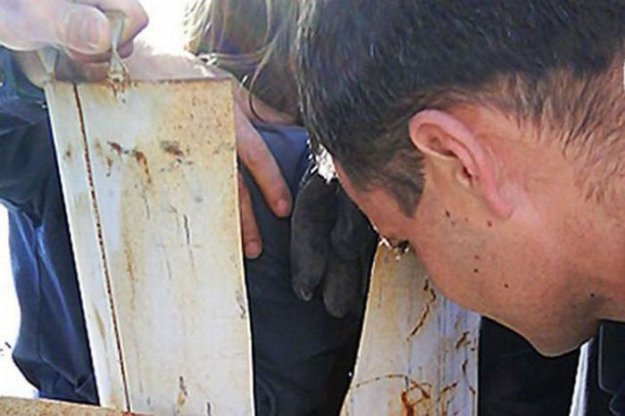 ������� ��� �������