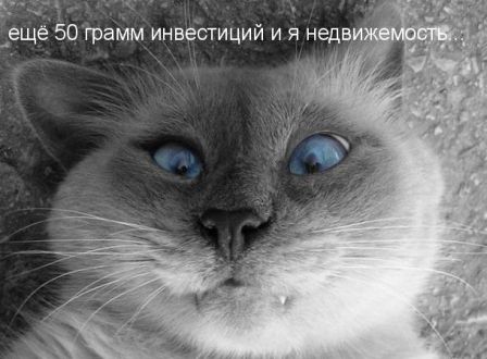 Картинка дня