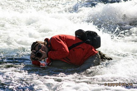 ���� ����������