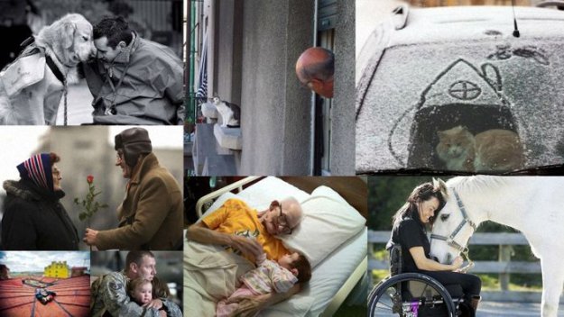 ����������, �� ������� ���������� �������� ����������