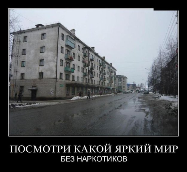 Картинка дня