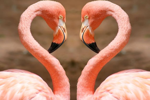 http://bm.img.com.ua/img/prikol/images/large/6/1/154616_275906.jpg