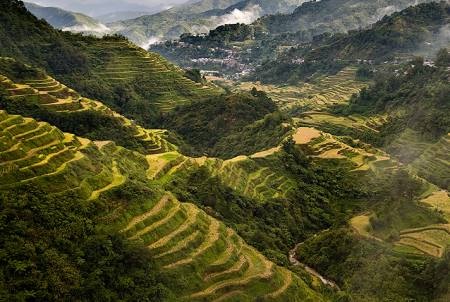 ������, �� �������� � �������� ������