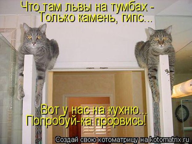 Картинка Подарок на День Рождения » День рождения » Праздники » Картинки Игры и конкурсы на день рождения 60 лет