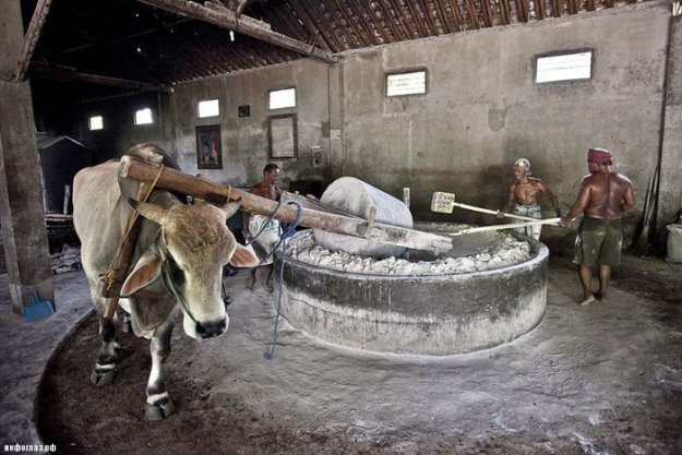 ��� ������ ����� � ���������