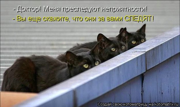 Лучшие котоматрицы недели