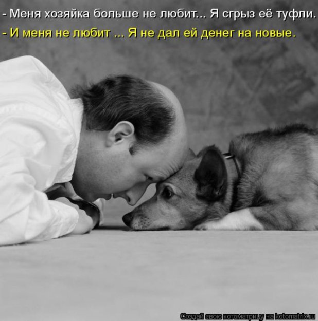 Лучшие котоматрицы недели