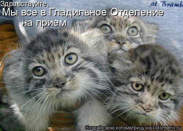 Размещенное изображение