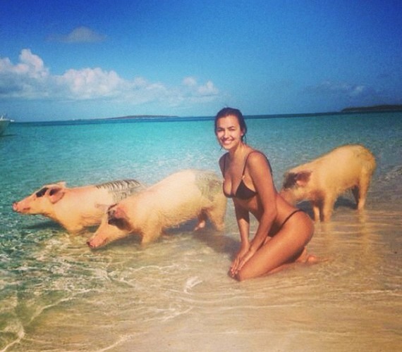 Ирина Шейк снялась в необычной фотосессии: Модель позирует со свиньями
