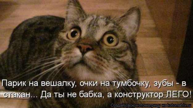 Котоматриця!)))) - Страница 10 226676_517622